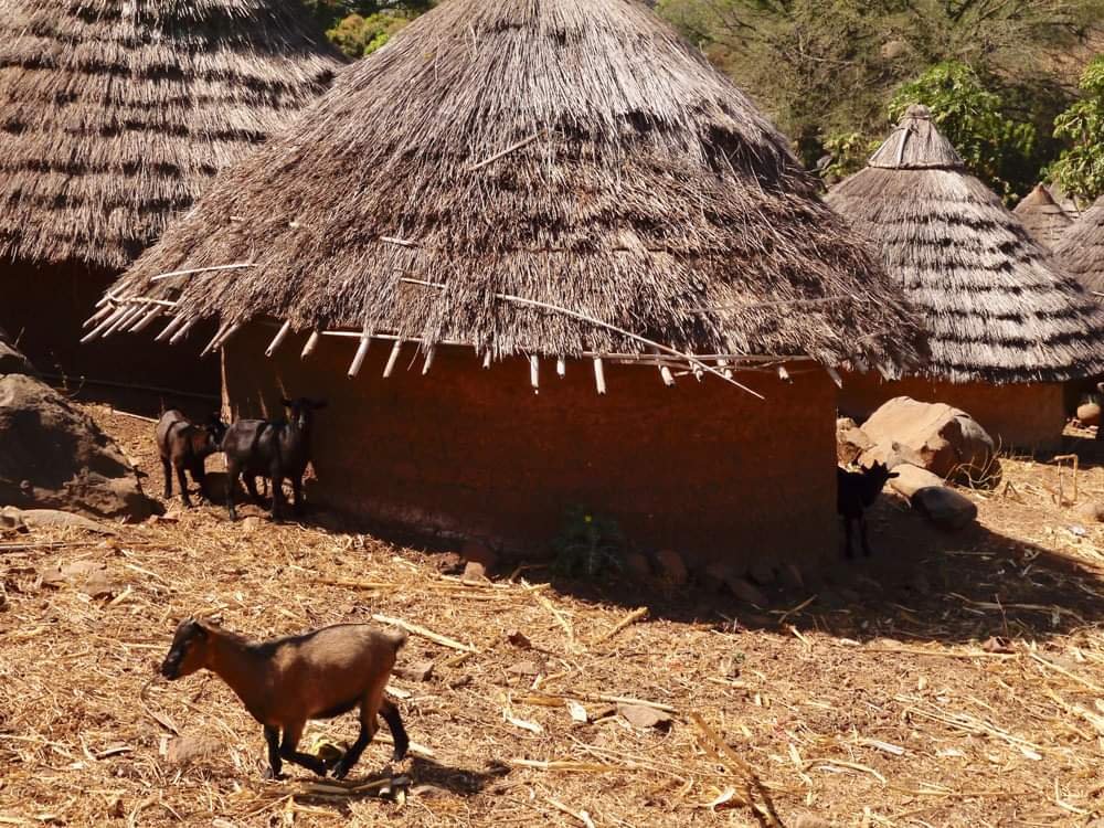 location de vacances au Sénégal, villa à louer au senegal, appartement à louer au sénégal, chambre à louer au sénégal. 
Visiter et découvrez le sénégal. Conciergerie au sénégal.Rent senegal, holiday in senegal, house in senegal, flat in senegal, home in senegal, cottage in senegal. Notre guide local vous fera découvrir toutes les merveilles de la faune, flore et culture du Sénegal.
Bensoin de détente, de bien être, de massage au sénégal.Saint louis du sénégal, dakar sénégal, lac rose sénégal, la somone sénégal, saly sénégal, mbour sénégal, sine saloum sénégal, casamance sénégal.