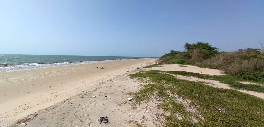 viste du senegal en famille, excursions senegal, visit senegal, sine saloum, somone, petite cote, saly, guide a sur la petite cote, guide saly, plage sauvage et déserte sénégal