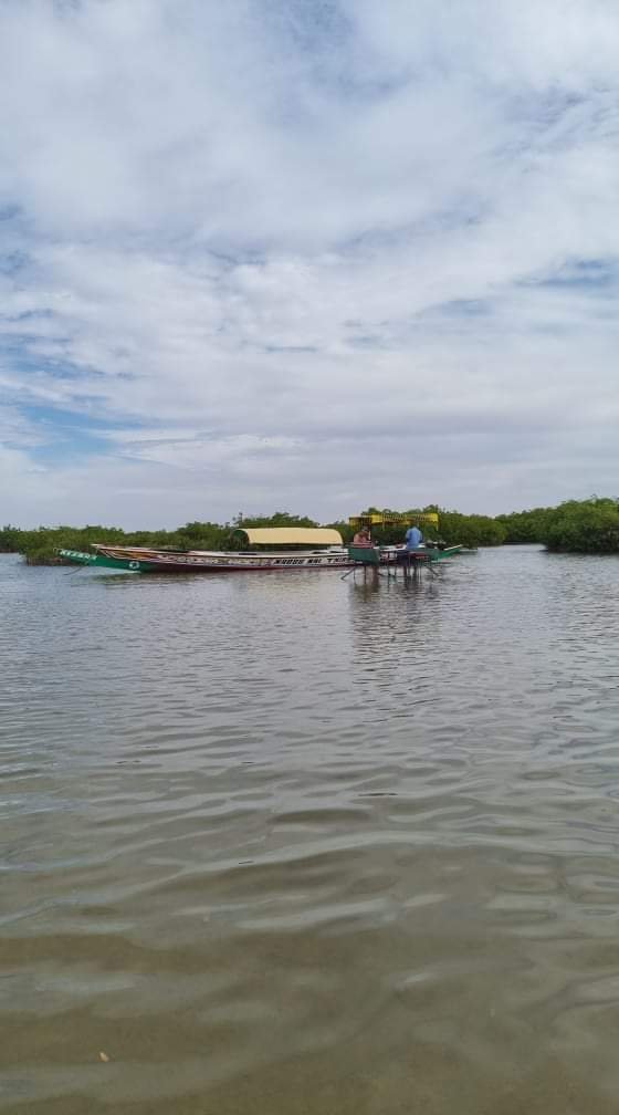 viste du senegal en famille, excursions senegal, visit senegal, sine saloum, somone, petite cote, saly, guide a sur la petite cote, guide saly